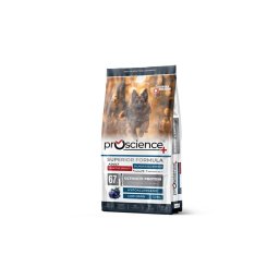 ProScience Adult Dog Salmon & Blueberry 12kg