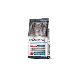 ProScience Adult Cat Salmon 15kg