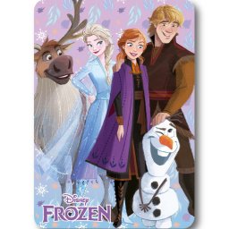 Jégvarázs Winter Friends polár takaró 100x140cm