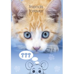 Cicás Friends Forever A/4 gumis mappa
