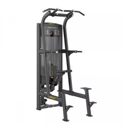 Vector Fitness Novum húzódzkodó-tolódzkodó gép
