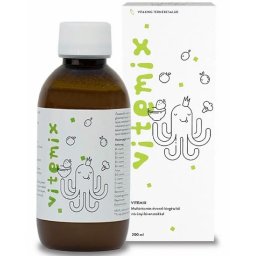 Vitaking Vitemix