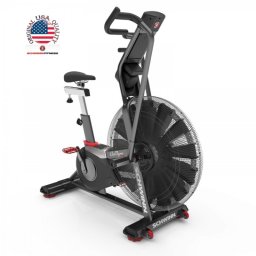 Schwinn Airdyne AD8 Air Bike szobakerékpár