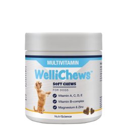 NutriScience WelliChews dog MULTIVITAMIN funkcionális jutalomfalat kutyának 60db