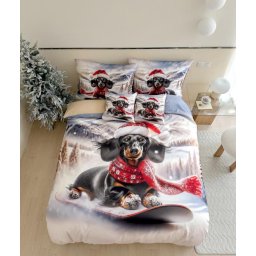 3D mikroszálas flanel ágyneműhuzat FROSTY RIDER színes + párnahuzat 40x50 cm ingyenes Ágyneműhuzat mérete: 70 x 90 cm | 140 x 200 cm