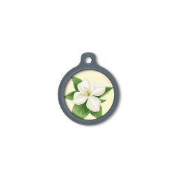 Blucky Jasmine Pastel Yellow Dog Tag large