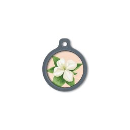 Blucky Jasmine Pastel Orange Dog Tag large