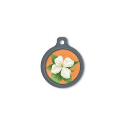 Blucky Jasmine Orange Dog Tag large