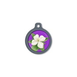 Blucky Jasmine Purple Dog Tag large