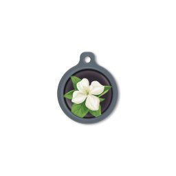 Blucky Jasmine Black Dog Tag large