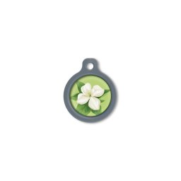 Blucky Jasmine Lime Green Dog Tag medium