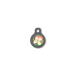 Blucky Jasmine Orange Dog Tag small