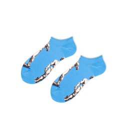 Dávid szobros vidám bokazokni