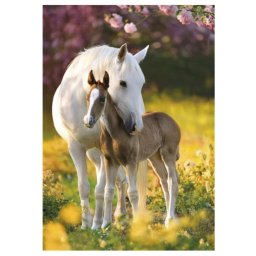 Lovas Spring Foal A/4 gumis mappa Nr4