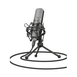 GXT 242 Lance Streaming (22614)