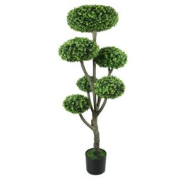Pompom bukszus | 120cm
