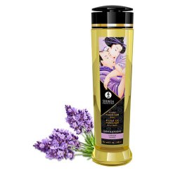 Shunga Sensation masszzsolaj - levendulaillat, 240ml