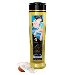 Shunga Adorable masszzsolaj - kkuszillat, 240ml