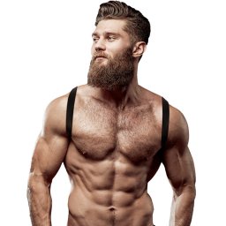 FETISH - frfi kolgiai br htktz harness