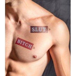 MrB Slut / Bitch - ephemr tetovls 15 x 5 cm