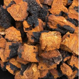 Fagyasztva Szárított Egész Chaga, Hamvaskéreggomba 100g (6286)