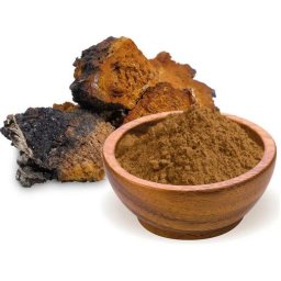 Fagyasztva Szárított Chaga, Hamvaskéreggomba Por 100g (6288)