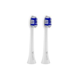 TrueLife 2x csere SonicBrush Compact fejek - fehérít