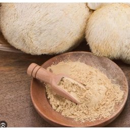 Liofilizált Süngomba (hericium Erinaceus) Por 100g