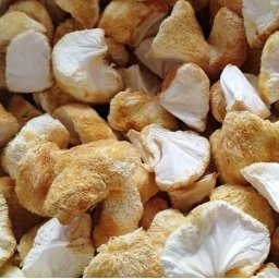 Fagyasztva Szárított Süngomba (hericium Erinaceus) 100g (6291)