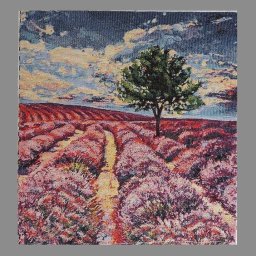 PROVENCE, levendulamező, telimintás párnapanel