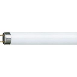 Fénycső MASTER TL-D Super 80 15W/840 4000K