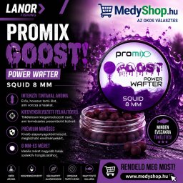 Promix GOOST Power Wafter SQUID 10mm (PGPS10)