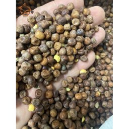 Főtt juharmag 3kg