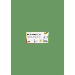 FOLIA Dekorkarton, 2 oldalas, 50x70 cm, 300 g, 10 lap, FOLIA, mohazöld