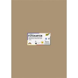 FOLIA Dekorkarton, 2 oldalas, 50x70 cm, 300 g, 10 lap, FOLIA, őzbarna