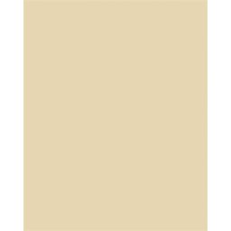 FOLIA Dekorkarton, 2 oldalas, 50x70cm, 220 g, 10 lap, FOLIA, bézs