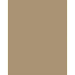 FOLIA Dekorkarton, 2 oldalas, 50x70cm, 220 g, 10 lap, FOLIA, őzbarna