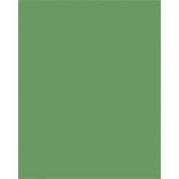 FOLIA Dekorkarton, 2 oldalas, 50x70cm, 220 g, 10 lap, FOLIA, mohazöld