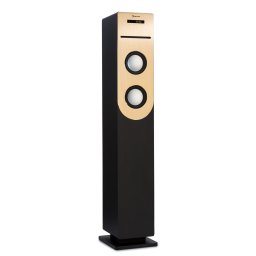 Auna Berklee, oszlopos hangszóró, 2 x 10 W RMS, FM rádió, CD-lejátszó, Bluetooth, USB és SD/MMC csatlakozó (VB8-Berklee Tower BK)