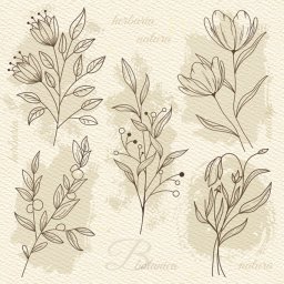 Virág Beige Illustration szalvéta 20 db-os 33x33 cm