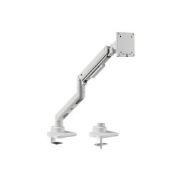 EQuip 17"-49" Heavy-Duty Monitor Desk Mount Bracket White