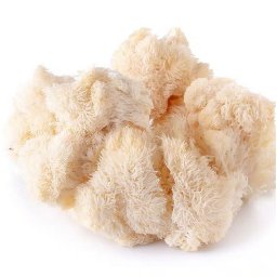 Medvefejgomba (hericium Americanum) Oltóanyag 10ml (6379)