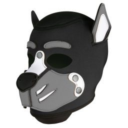 Husky Gray - elegns, prmium frfi hoodie