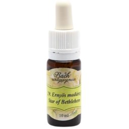 Bach virágterápia, 10 ml - Ernyős madártej, a vigasz virága - 29-es