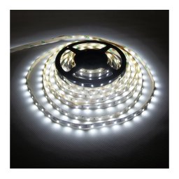 60 LED/m Beltéri Hideg fehér