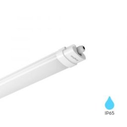 PROLINE-IP Por és Páramentes lámpa 36W Meleg fehér 3000K 1200mm
