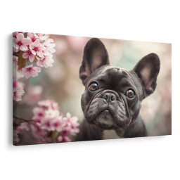 Kép cuki bulldog virágok között