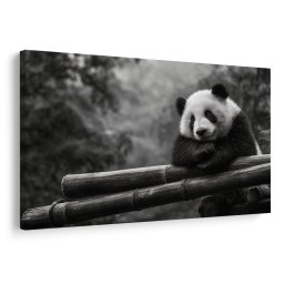 Kép panda pihen bambuszon