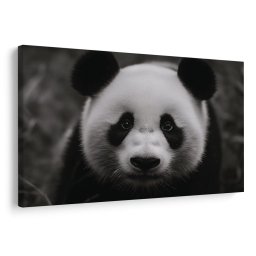 Kép aranyos panda a természetben