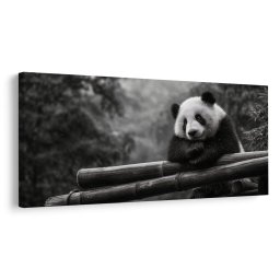 Kép nyugodt panda a természetben